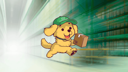 Return Buddy: Bringing Joy and Loyalty to B2B Returns